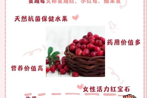 蔓越莓浓缩片核心功效解析-抗氧化与泌尿健康双重守护作用