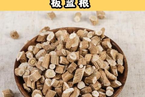 复方板蓝根：抗病毒机制与现代临床应用研究解析