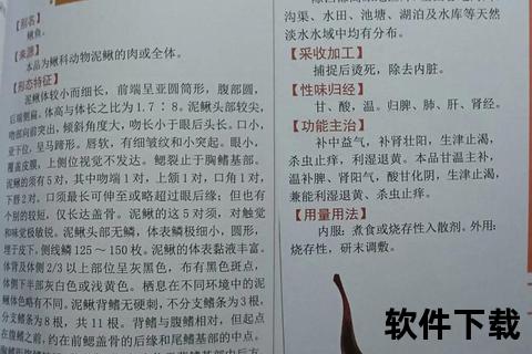 泥鳅安全用药技术要点解析-常见疾病防治与规范使用指南 泥鳅安全用药技术要点解析-常见疾病防治与规范使用指南