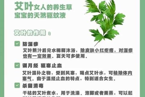 艾草治疗妇科病的中医解析：温经散寒与调经止痛的疗效