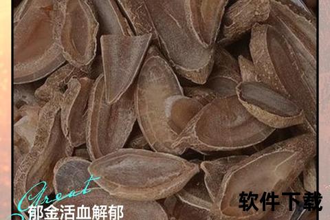醋郁金功效与作用解析：活血止痛_行气解郁_清心凉血功效详解
