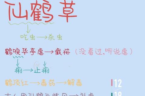 仙鹤草：天然止血剂与抗炎抗氧化功效的深度解析