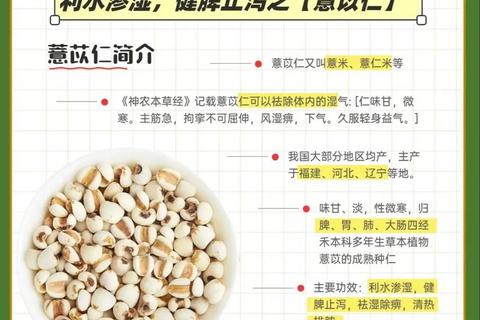 薏仁米功效与作用详解_食用方法及健康益处解析