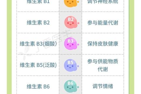 维生素B正确吃法指南：时间、剂量与搭配全解析