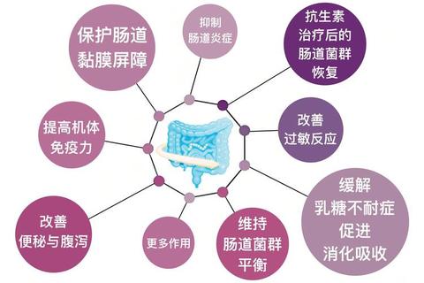 酪酸梭菌活菌胶囊：肠道菌群调节与临床应用研究进展