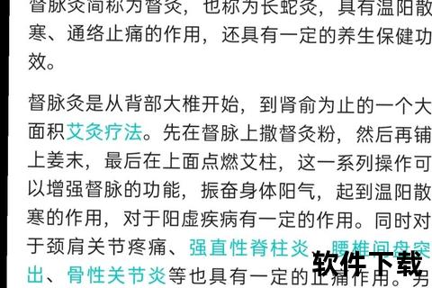 督脉功能总述:总督阳气与调节气血的中枢作用解析