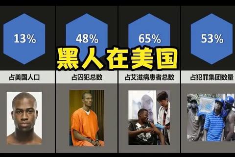 黑人困境_种族歧视与结构性压迫的历史根源