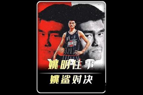 霍华德对决姚明_身高劣势与技术差距致败因解析