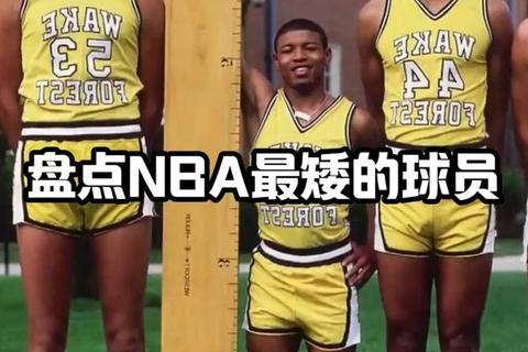 NBA矮个传奇-小身躯颠覆巨人统治的逆袭之路