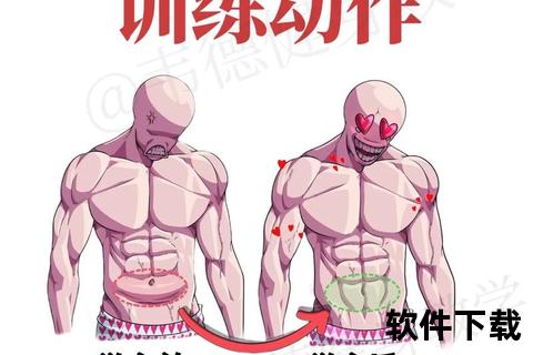 挺举训练核心肌群与爆发力-动作要领及肌肉强化指南