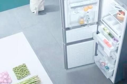 灰熊价格解析：市场行情、养殖成本及选购费用指南