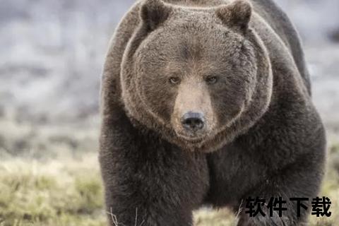 灰熊名称探秘：外形特征与生态习性的命名关联