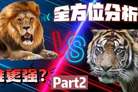 美洲狮VS美洲虎：栖息习性对比与王者生存战