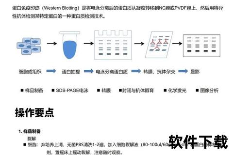WBO录像技术解析：赛事回放与判罚依据全揭秘