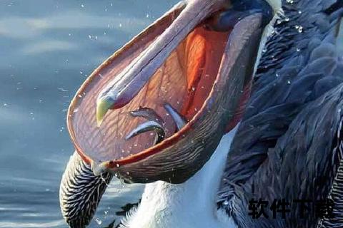 鹈鹕为什么拥有巨型喉囊？探秘其生存智慧与进化奥秘