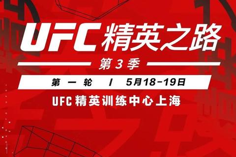 UFC中国崛起探因：战略布局与本土化如何赢得市场