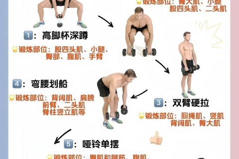 杠铃VS哑铃_力量训练效果对比与适用场景解析