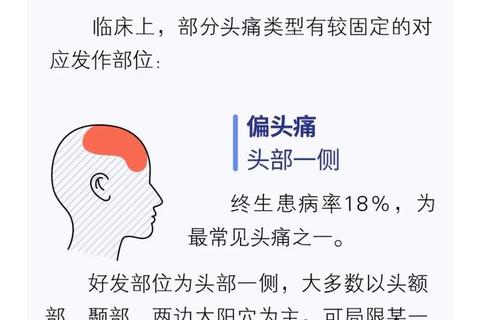 导致头痛的三大原因：血管扩张与药物副作用解析