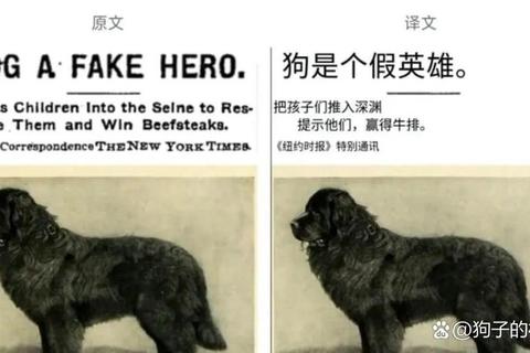 科狗_网络热词背后的称呼争议与球迷文化探源