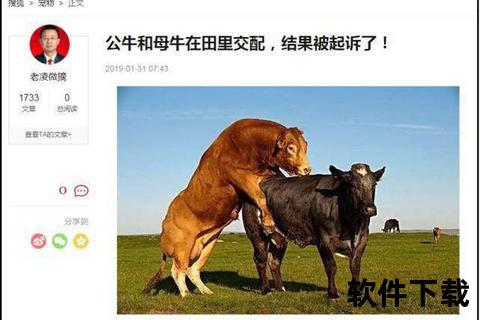 公牛打架原因解析：领地_配偶与地位之争