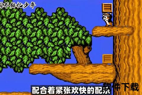 FC直播视频：经典游戏实况解说_重温红白机怀旧时光攻略