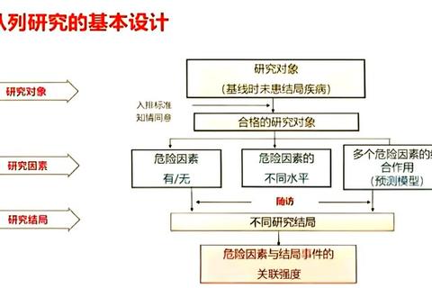 球队人数优化策略：平衡战术需求与管理效率的关键探讨