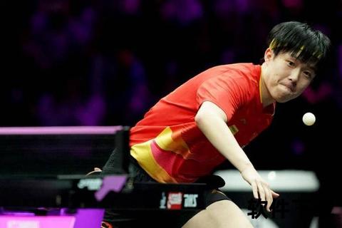 中国女单包揽重庆冠军赛四强_王楚钦力克张本智和登顶