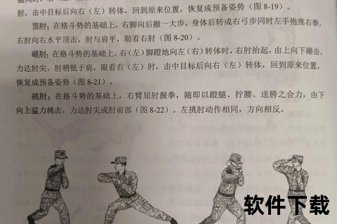 肘击与拳击力量对决：骨骼硬度与发力机制解析
