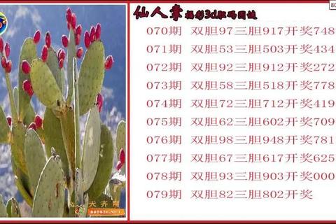3D第2025079期号揭晓-专家独胆6直选5码预测