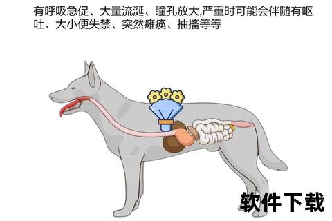 相扑短寿之谜：过度饮食与高强度训练的致命影响