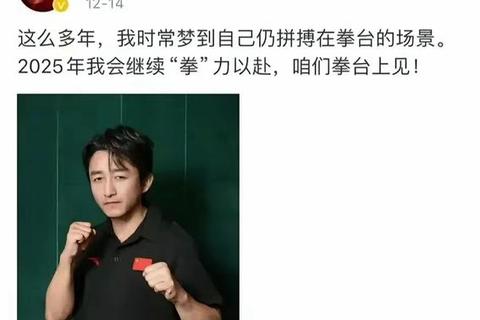 拳击高收入现象探秘_职业选手财富飙升的五大核心动因