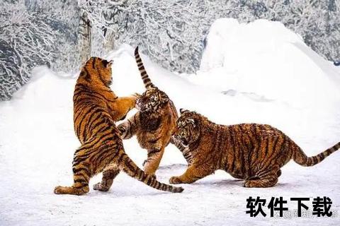 虎豹双雄：丛林之王与暗夜猎手的巅峰对决  第2张