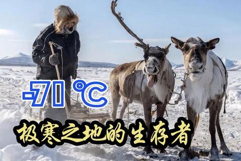 德国极端低温纪录：零下27.6度的极寒时刻