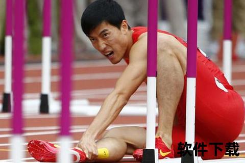 清华流川枫刘子秋退役抉择：伤病困扰与校园传承的双重考量
