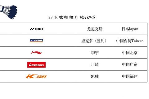 羽毛球拍品牌推荐-热门品牌性能对比与选购指南全解析