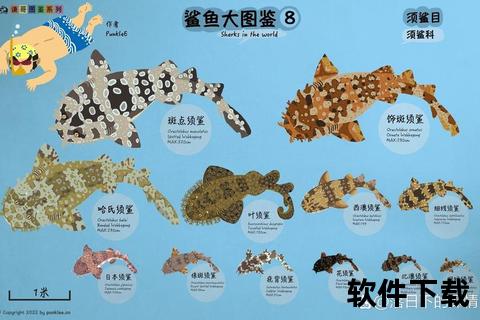 家庭可养鲨鱼品种推荐_水族箱养殖条件与注意事项解析
