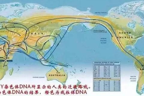 基因_饮食_环境：非洲人性耐力优势的生物学溯源