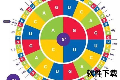 黄种人腿短现象成因解析-遗传演化与地理环境的影响探析