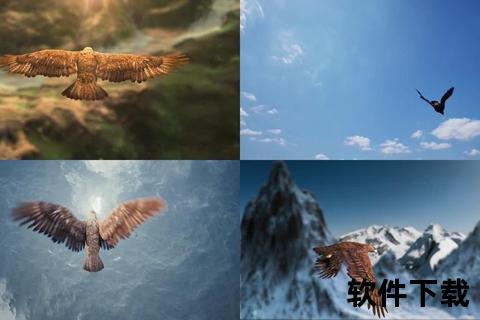 老鹰视频直播直击高空翱翔_实时追踪猛禽视角+精彩时刻全网首发