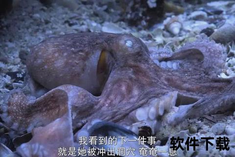 章鱼直播录像_深海探秘触手全追踪+水下实况精彩回放解析-第2张图片-佐菲攻略专区
