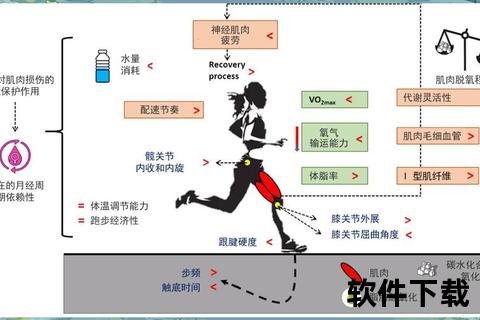 逆时针跑步的奥秘：科学原理与人体结构双重解析
