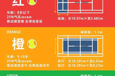 网球为何称为网球-名称起源与运动发展史探析