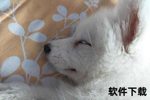 银狐停更原因深度解析-停更背后真相与用户热议追踪