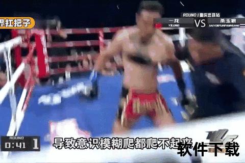 武僧一龙假拳疑云_打假背后真相与动机深度解析