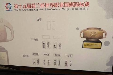 连笑未晋九段之谜：探析职业棋手段位评定标准
