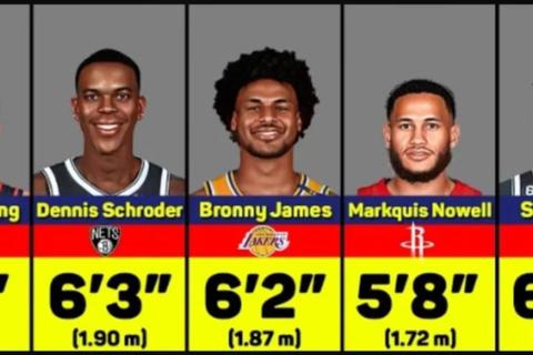 NBA最矮球员的逆袭传奇_160cm博格斯如何征服篮球赛场