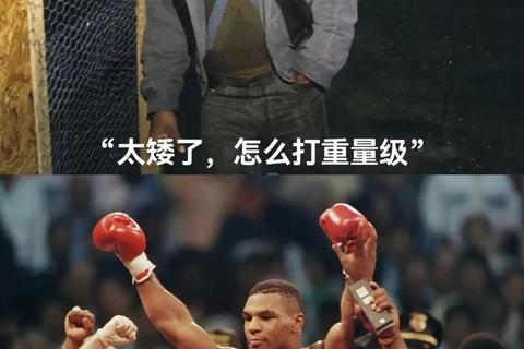 为什么拳击：挑战极限的力量与坚持的艺术