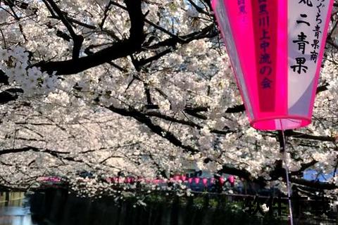 樱花季限定_东京实况直播_邂逅浪漫物语  第2张