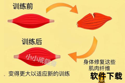 练肌肉从哪里开始-新手增肌指南与科学训练步骤解析