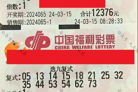 三拖八多少钱_最新报价+优惠套餐费用解析与详情指南